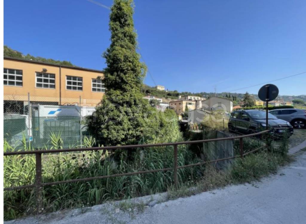 immagine annuncio 5 di 11