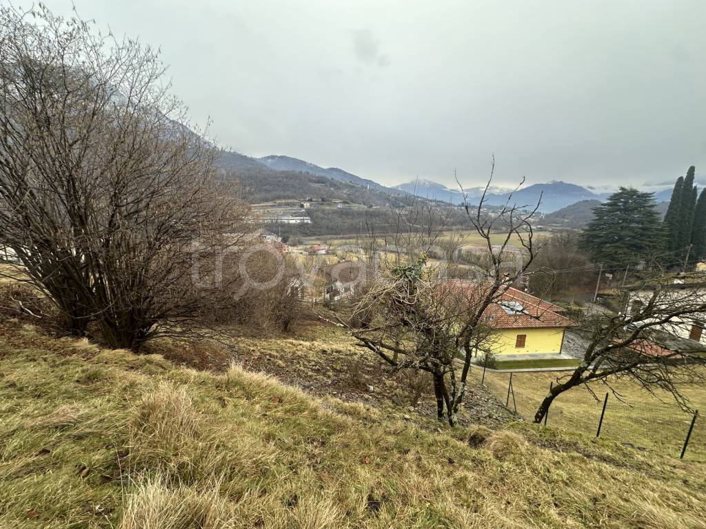 immagine annuncio 6 di 7