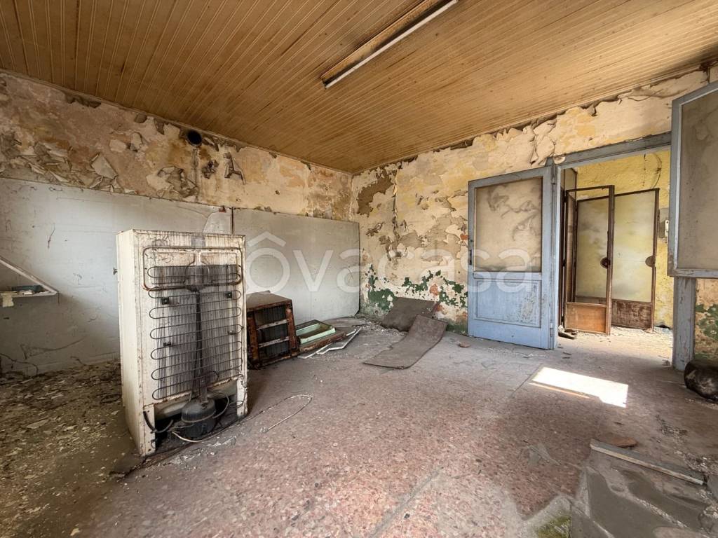 immagine annuncio 7 di 14