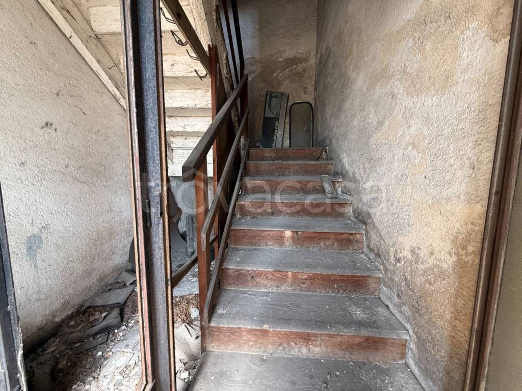 immagine annuncio 9 di 14