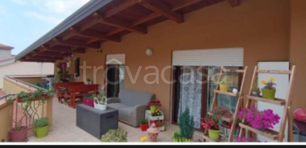 immagine annuncio 2 di 11