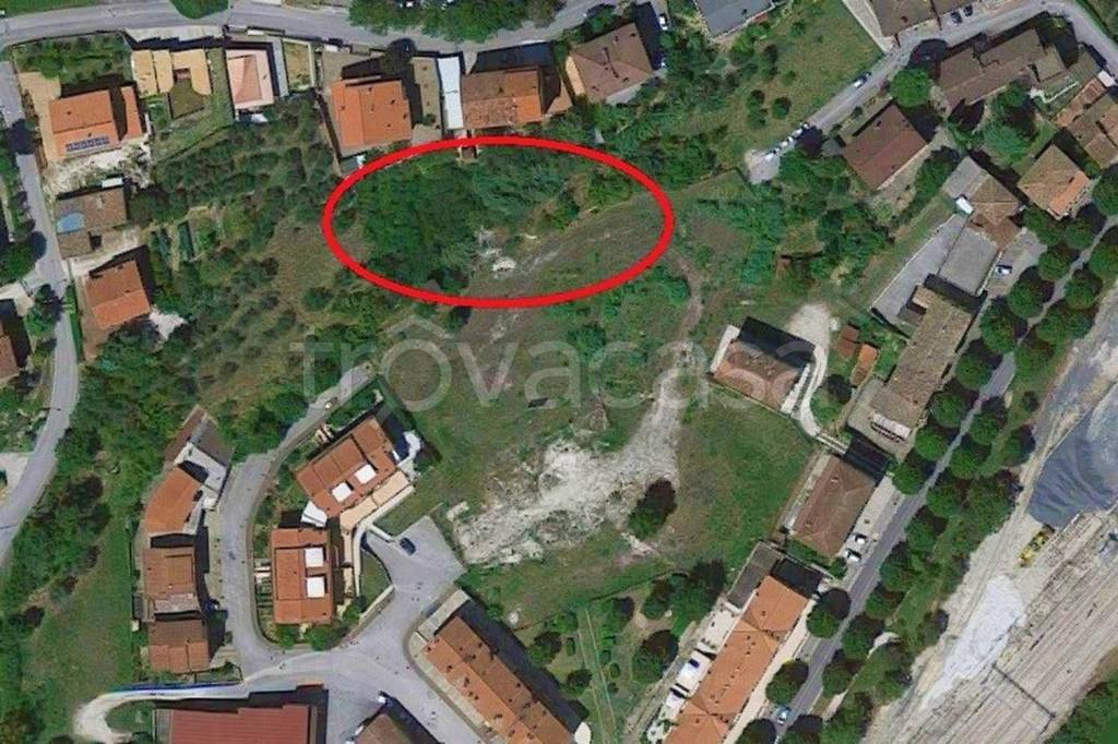 immagine annuncio 7 di 11