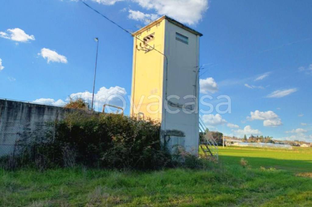 immagine annuncio 9 di 14