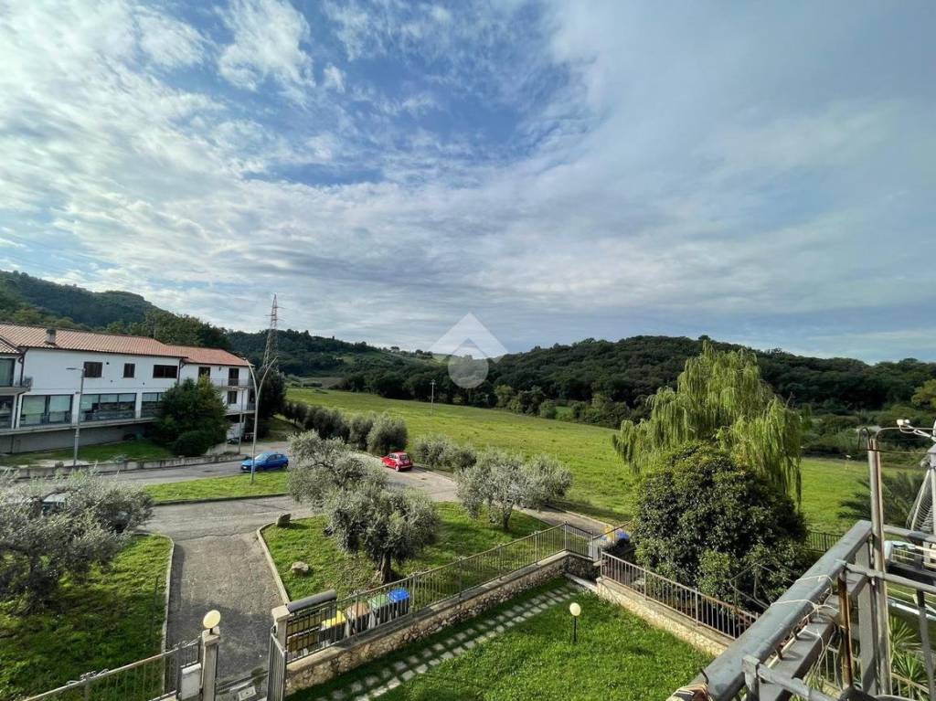 immagine annuncio 12 di 14