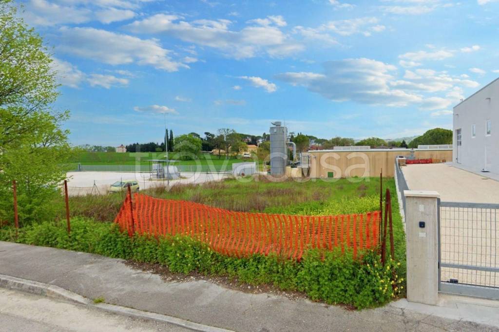 immagine annuncio 8 di 14