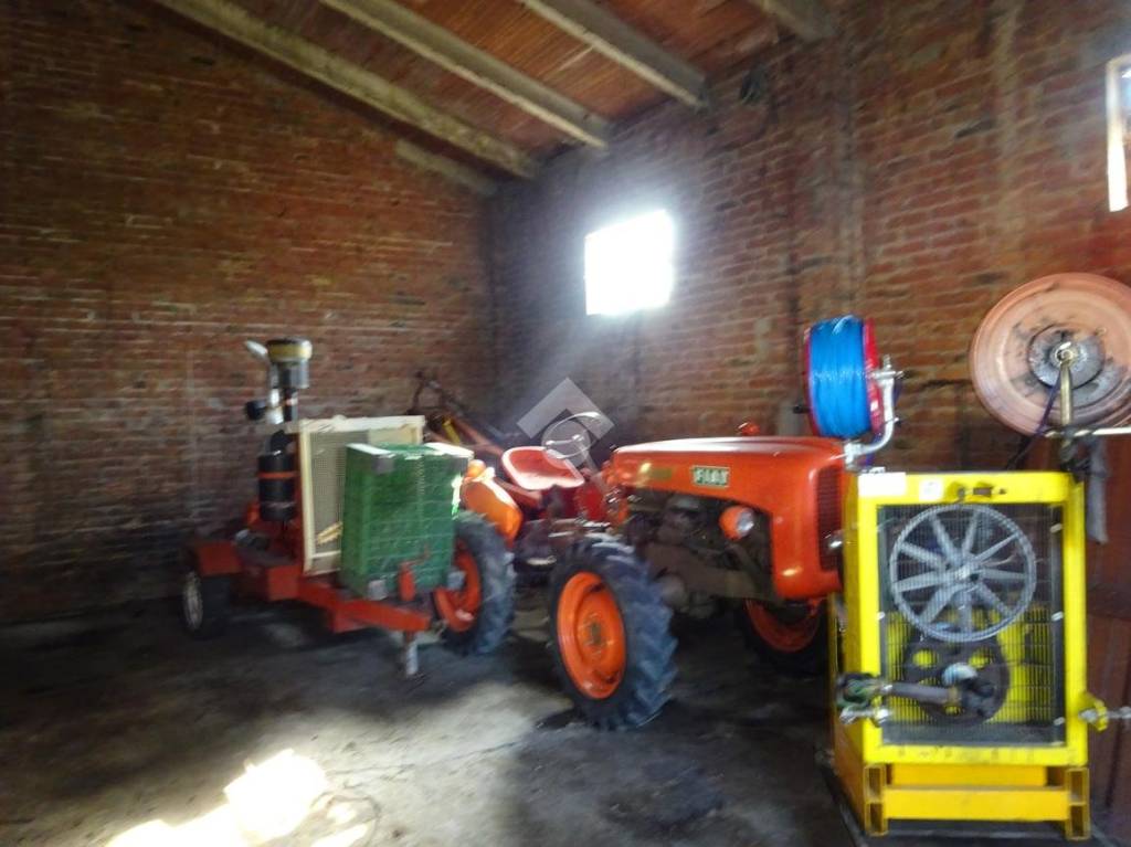 immagine annuncio 6 di 12