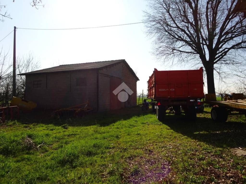 immagine annuncio 5 di 12