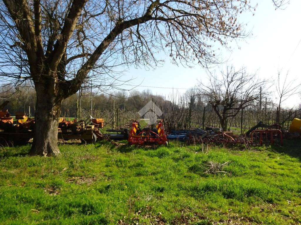 immagine annuncio 3 di 12