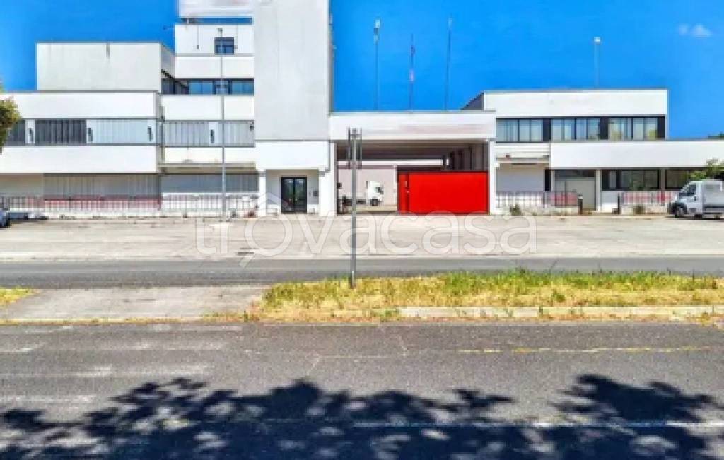 immagine annuncio 10 di 11