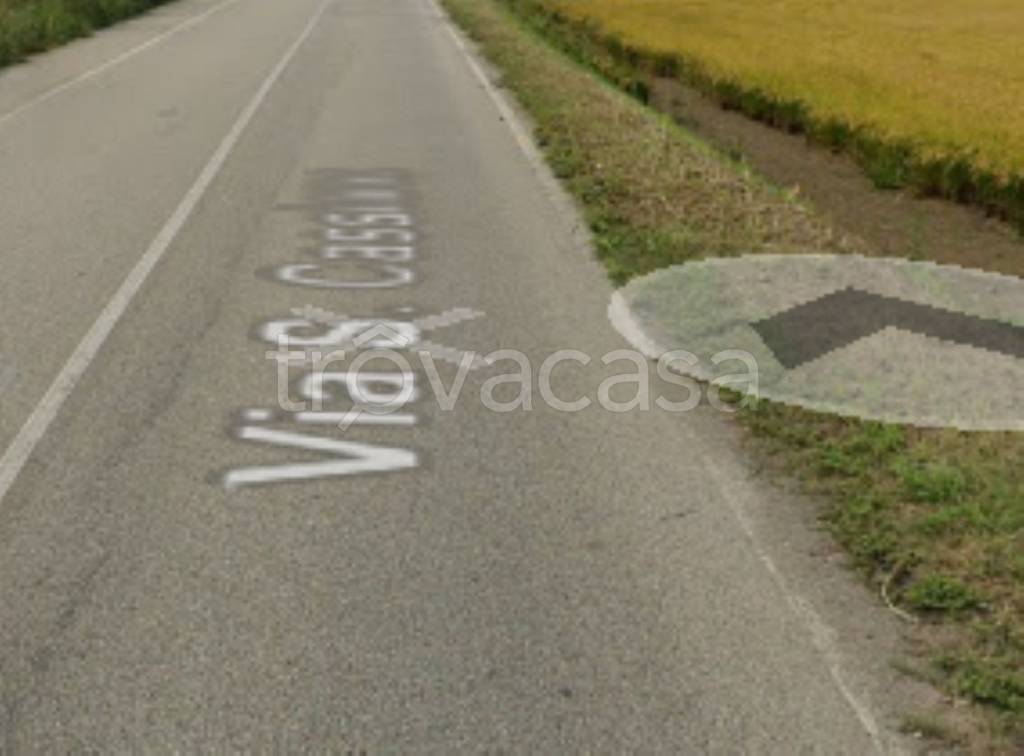 immagine annuncio 6 di 11