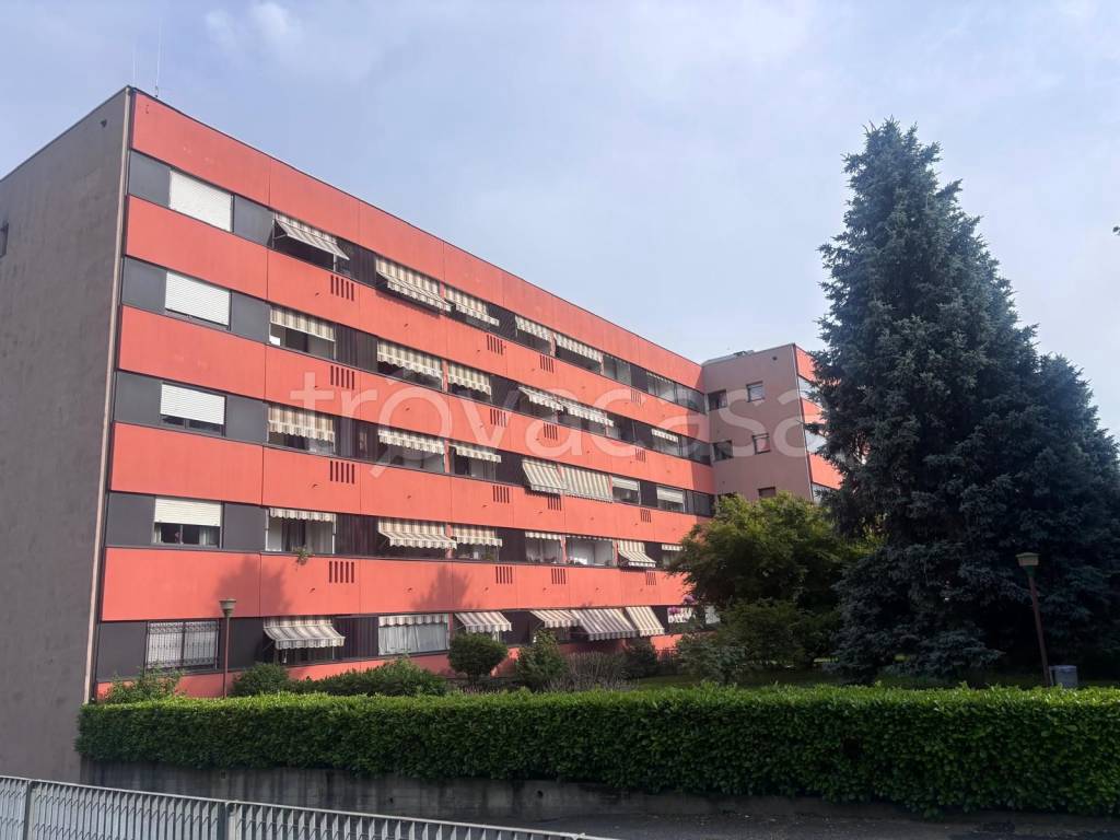 immagine annuncio 14 di 15