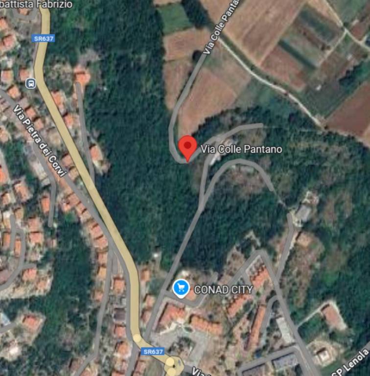 immagine annuncio 5 di 12