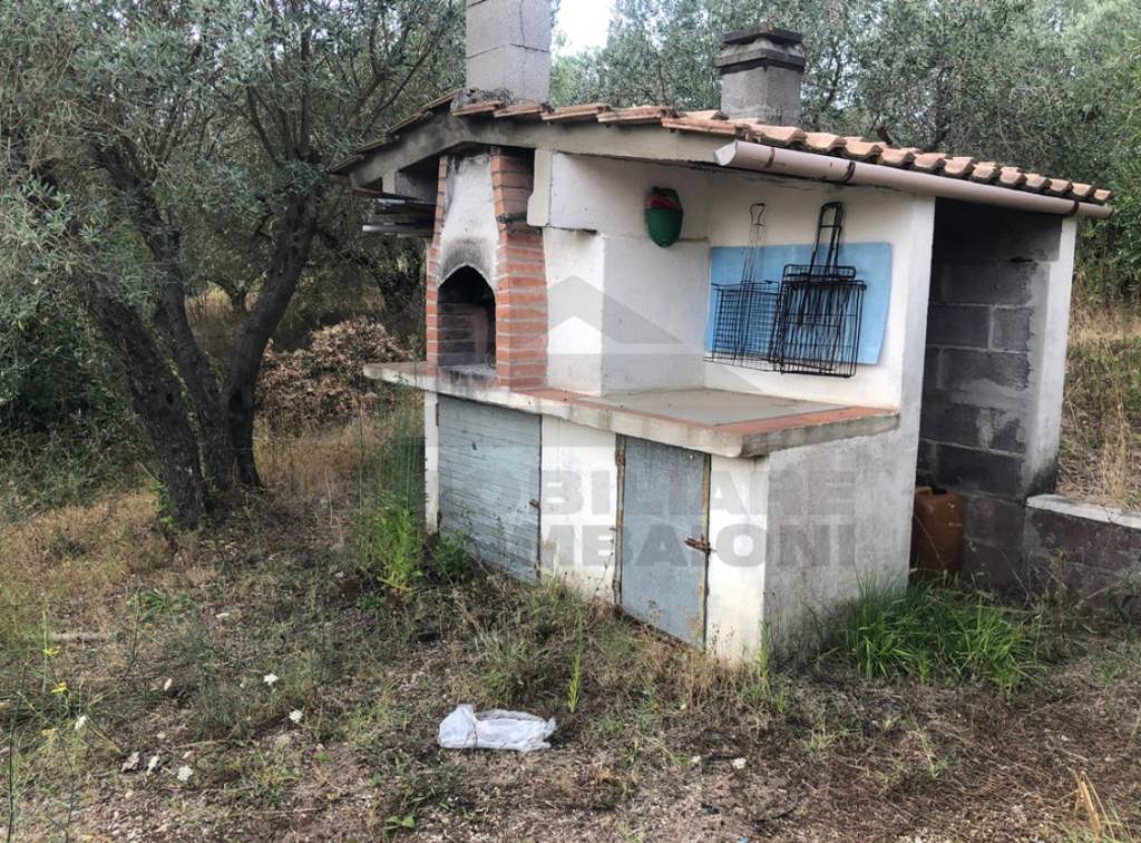 immagine annuncio 5 di 9