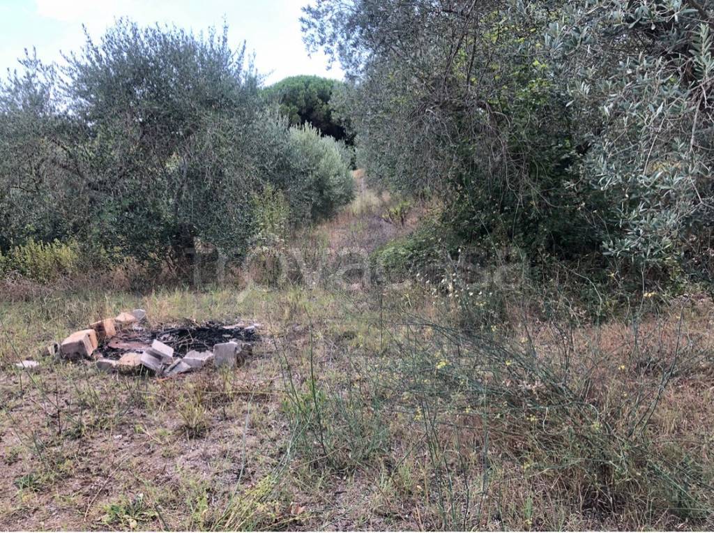 immagine annuncio 6 di 9