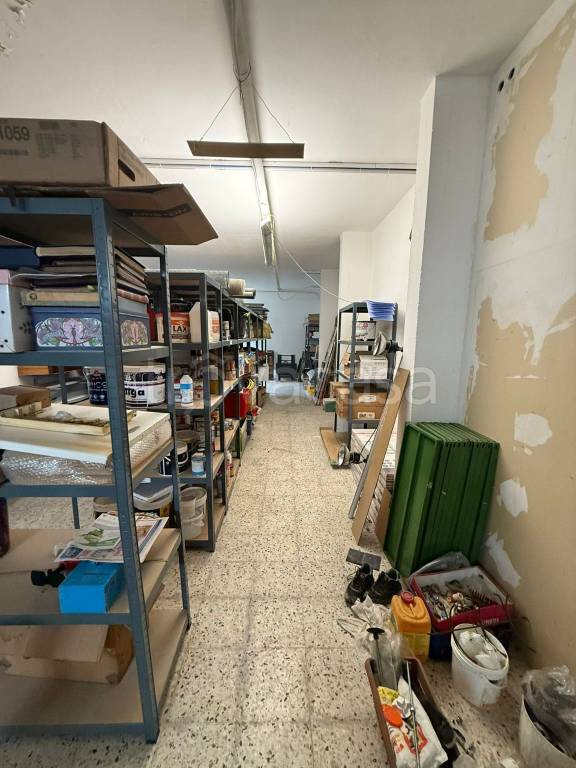 immagine annuncio 11 di 14