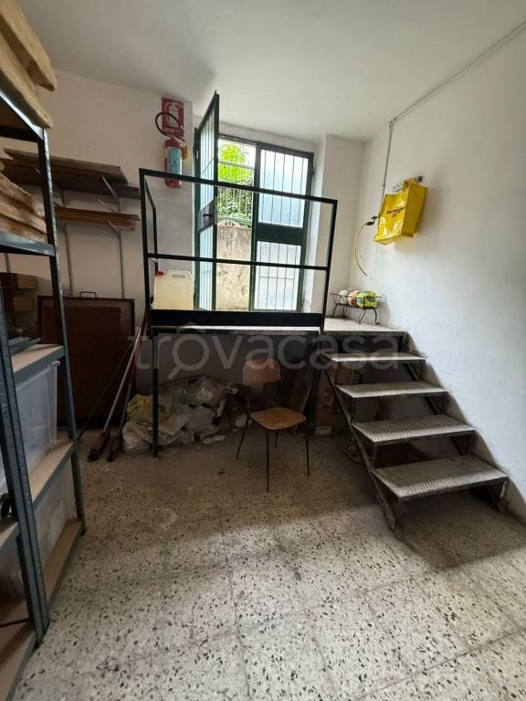 immagine annuncio 12 di 14