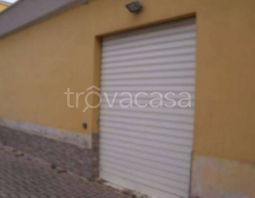 immagine annuncio 1 di 12