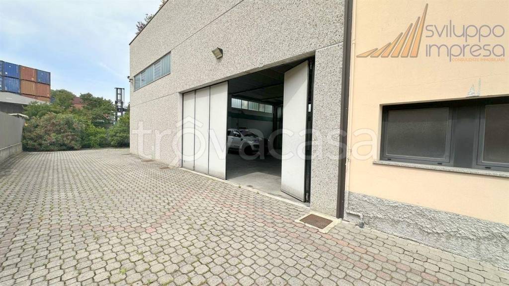 immagine annuncio 6 di 15