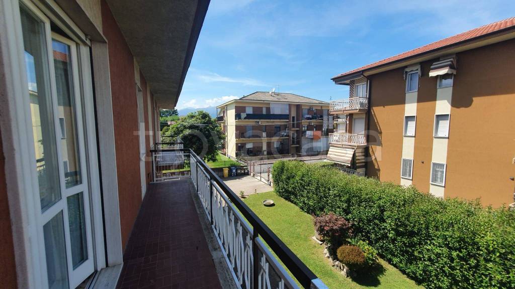 immagine annuncio 9 di 15