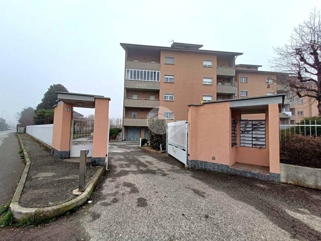 immagine annuncio 10 di 11