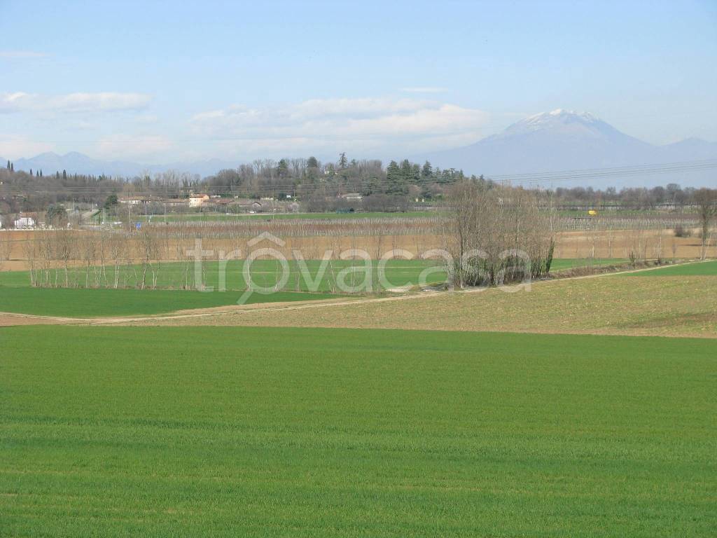 immagine annuncio 6 di 9