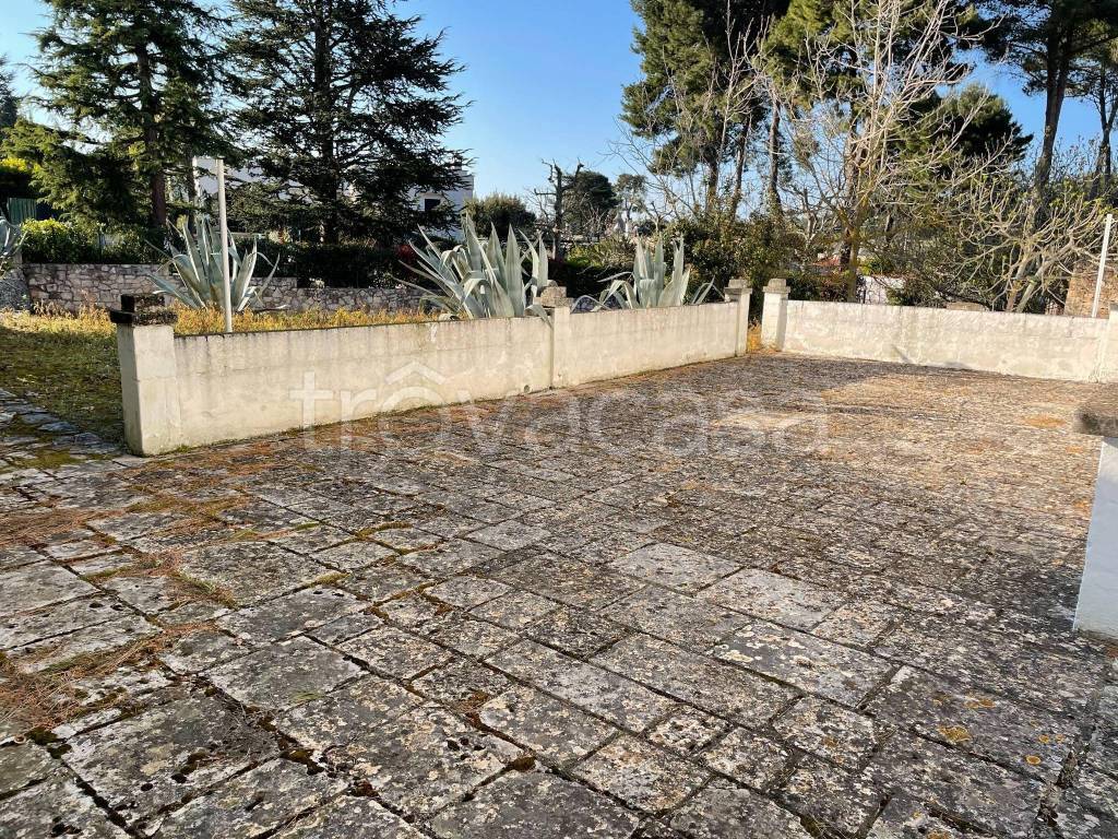 immagine annuncio 9 di 11