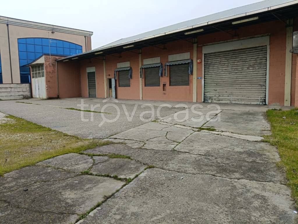 immagine annuncio 9 di 12