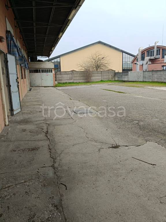 immagine annuncio 11 di 12