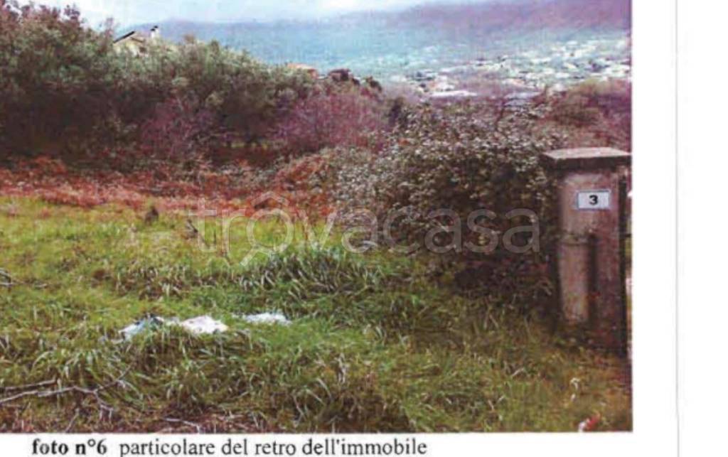 immagine annuncio 10 di 14