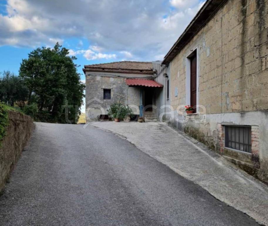 immagine annuncio 11 di 13