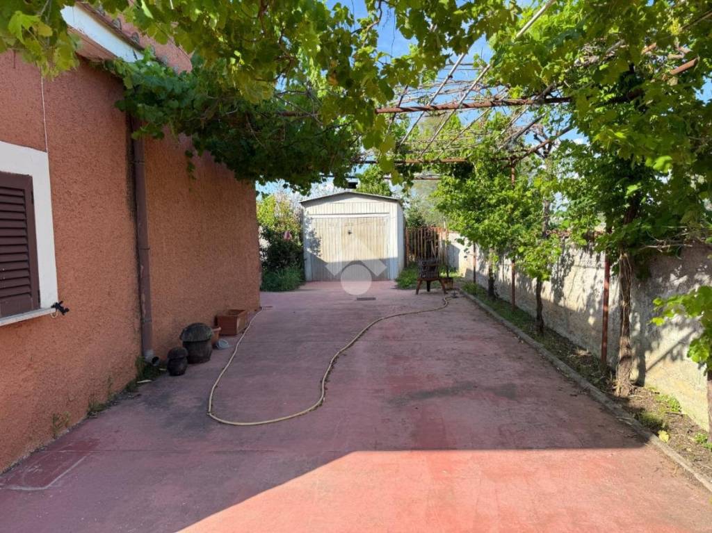 immagine annuncio 4 di 12
