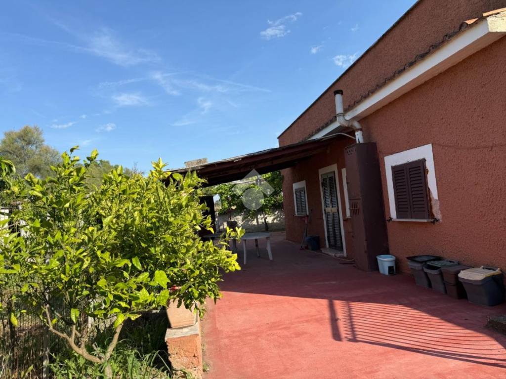 immagine annuncio 9 di 12