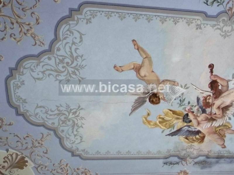 immagine annuncio 6 di 14