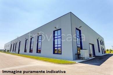 immagine annuncio 1 di 2