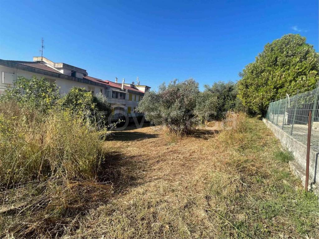 immagine annuncio 2 di 12