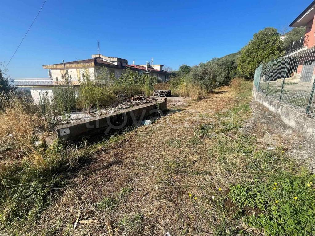 immagine annuncio 7 di 12
