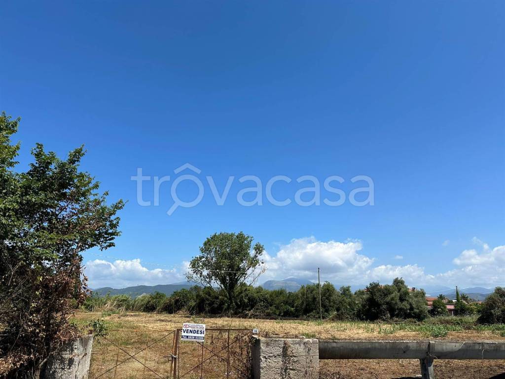 immagine annuncio 5 di 13
