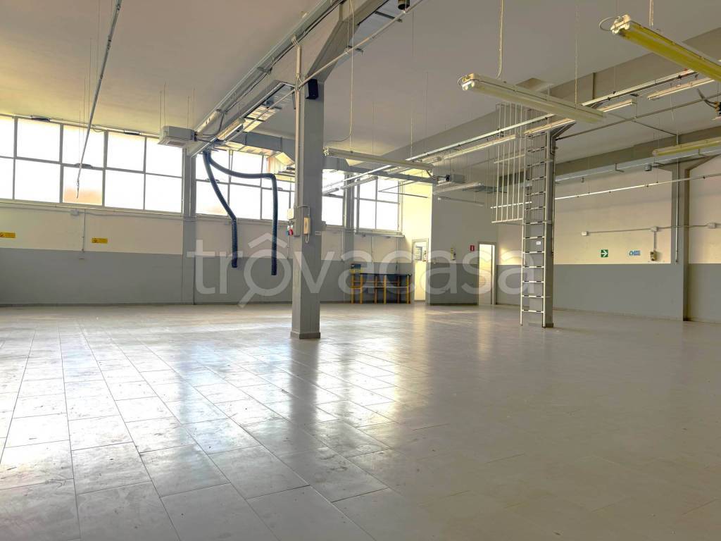 immagine annuncio 2 di 11