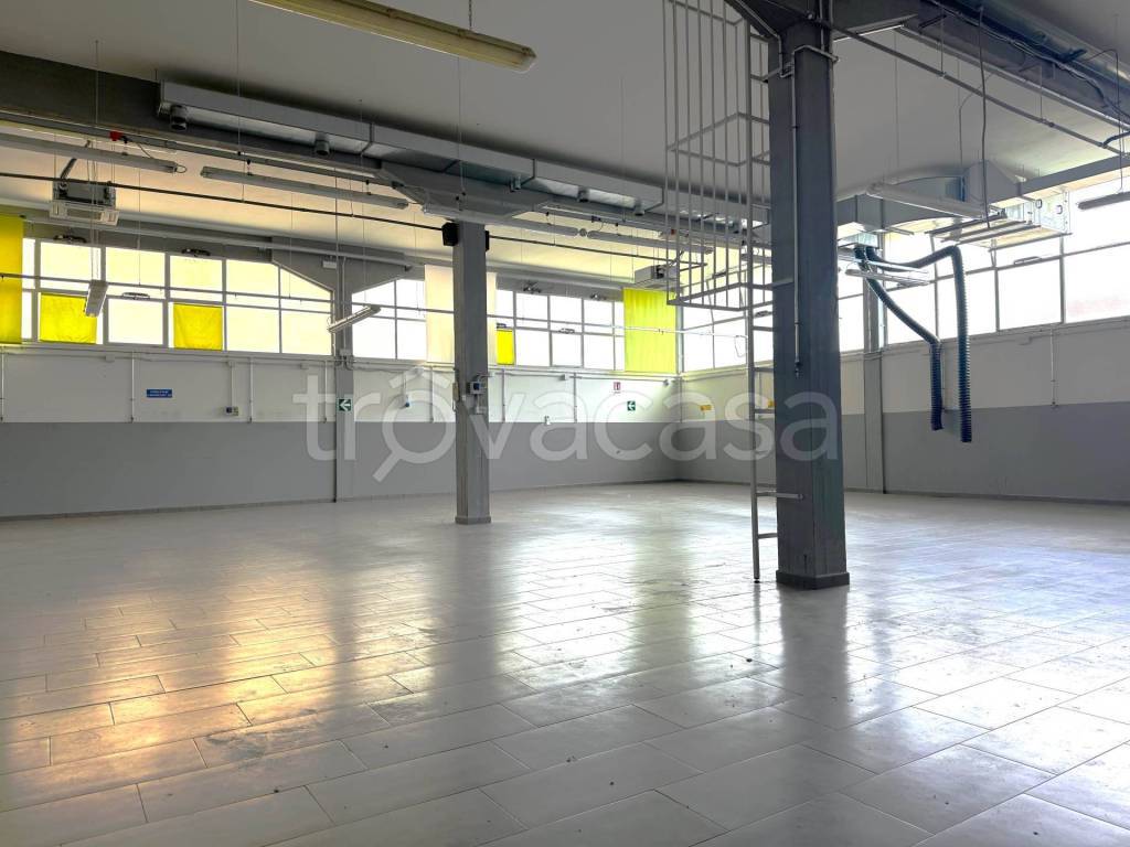 immagine annuncio 3 di 11