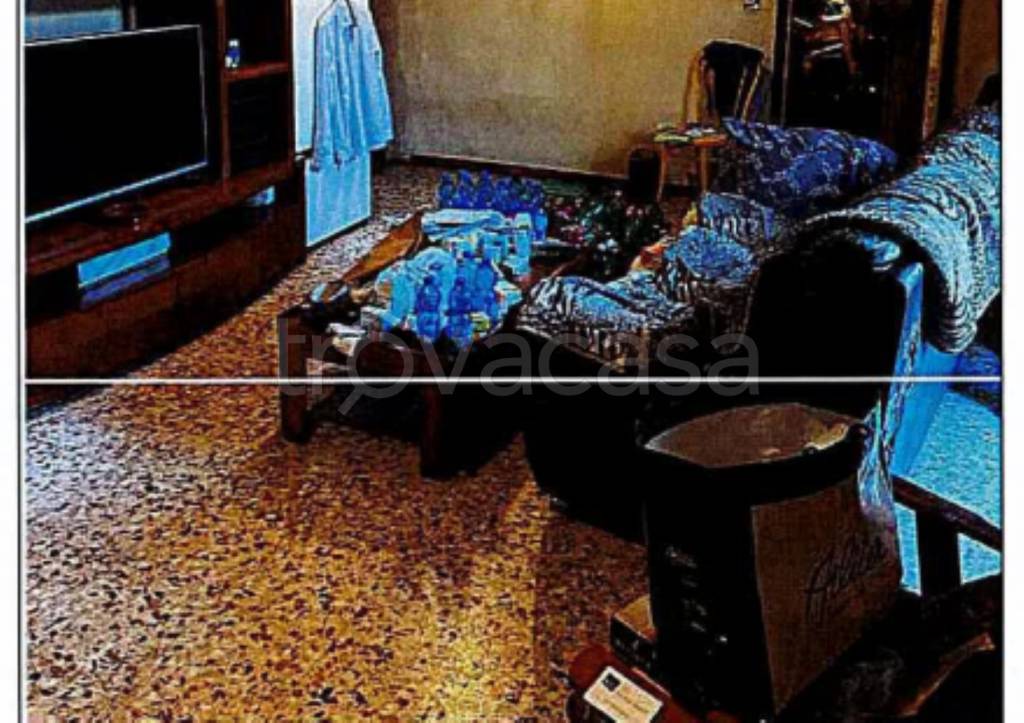 immagine annuncio 3 di 11