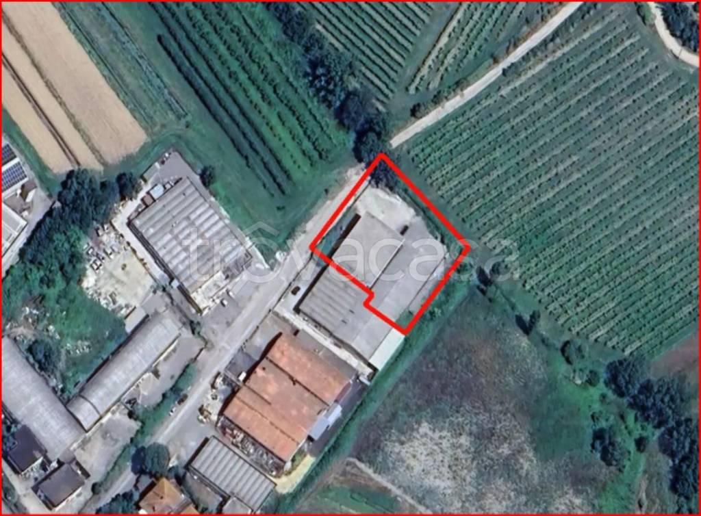immagine annuncio 10 di 11