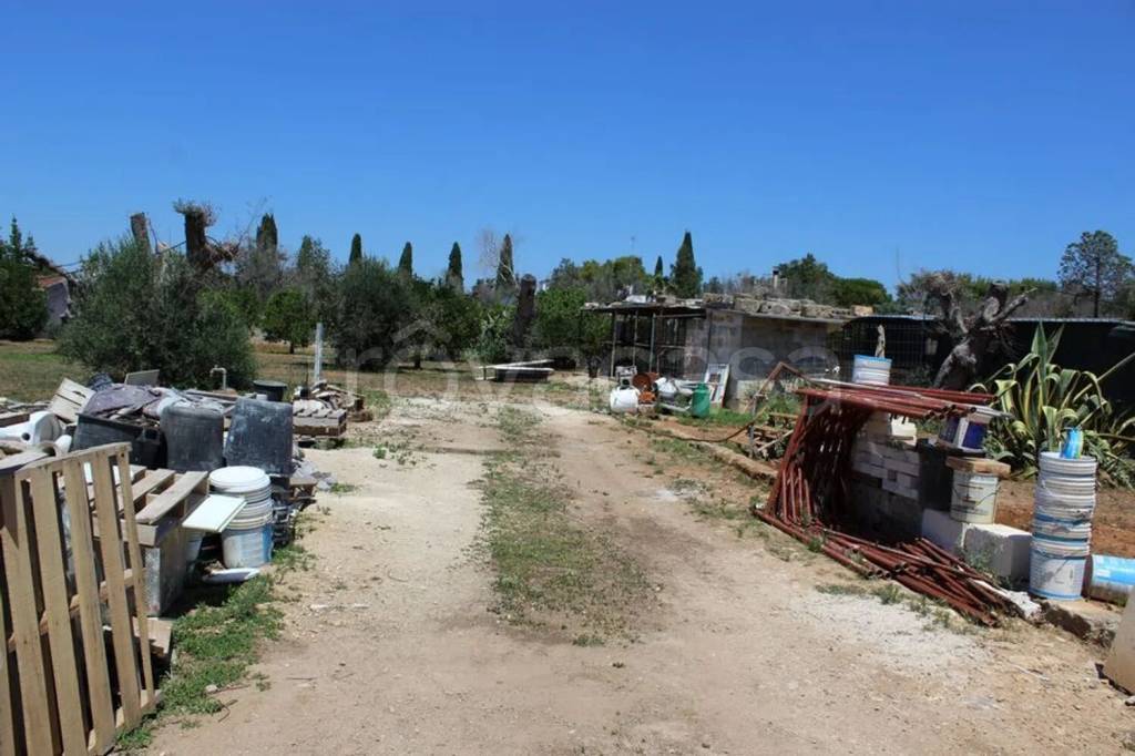 immagine annuncio 2 di 14