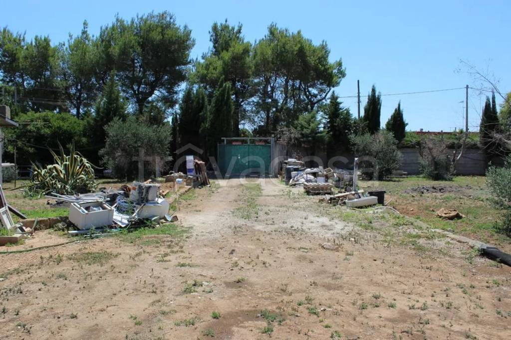 immagine annuncio 10 di 14