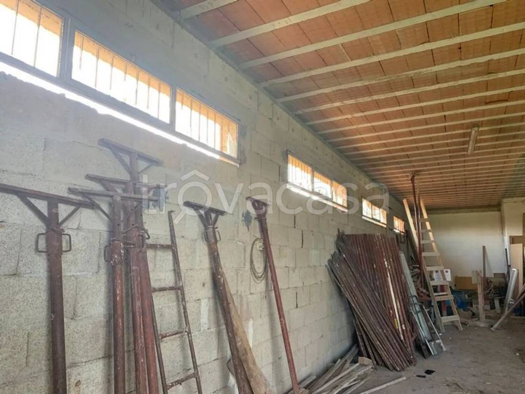immagine annuncio 9 di 12