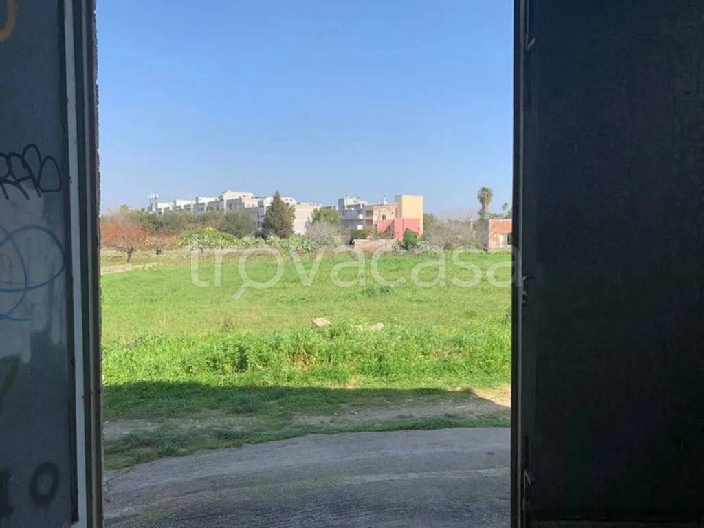 immagine annuncio 10 di 12