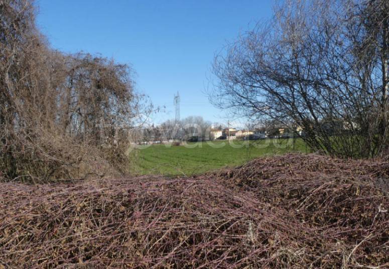 immagine annuncio 2 di 13
