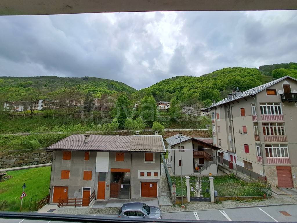 immagine annuncio 5 di 14