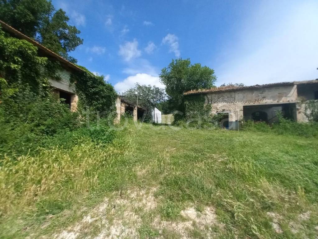 immagine annuncio 8 di 13