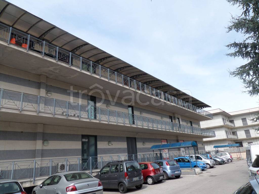 immagine annuncio 5 di 6