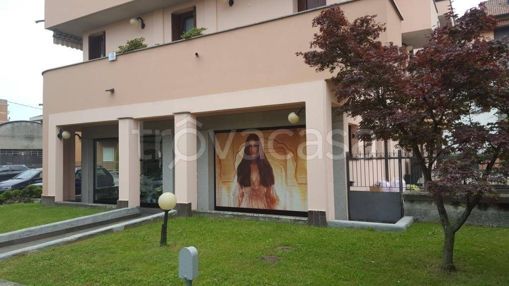 immagine annuncio 2 di 4